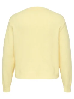 Best CARMACEY Striktrøje Dame Strik & Cardigans