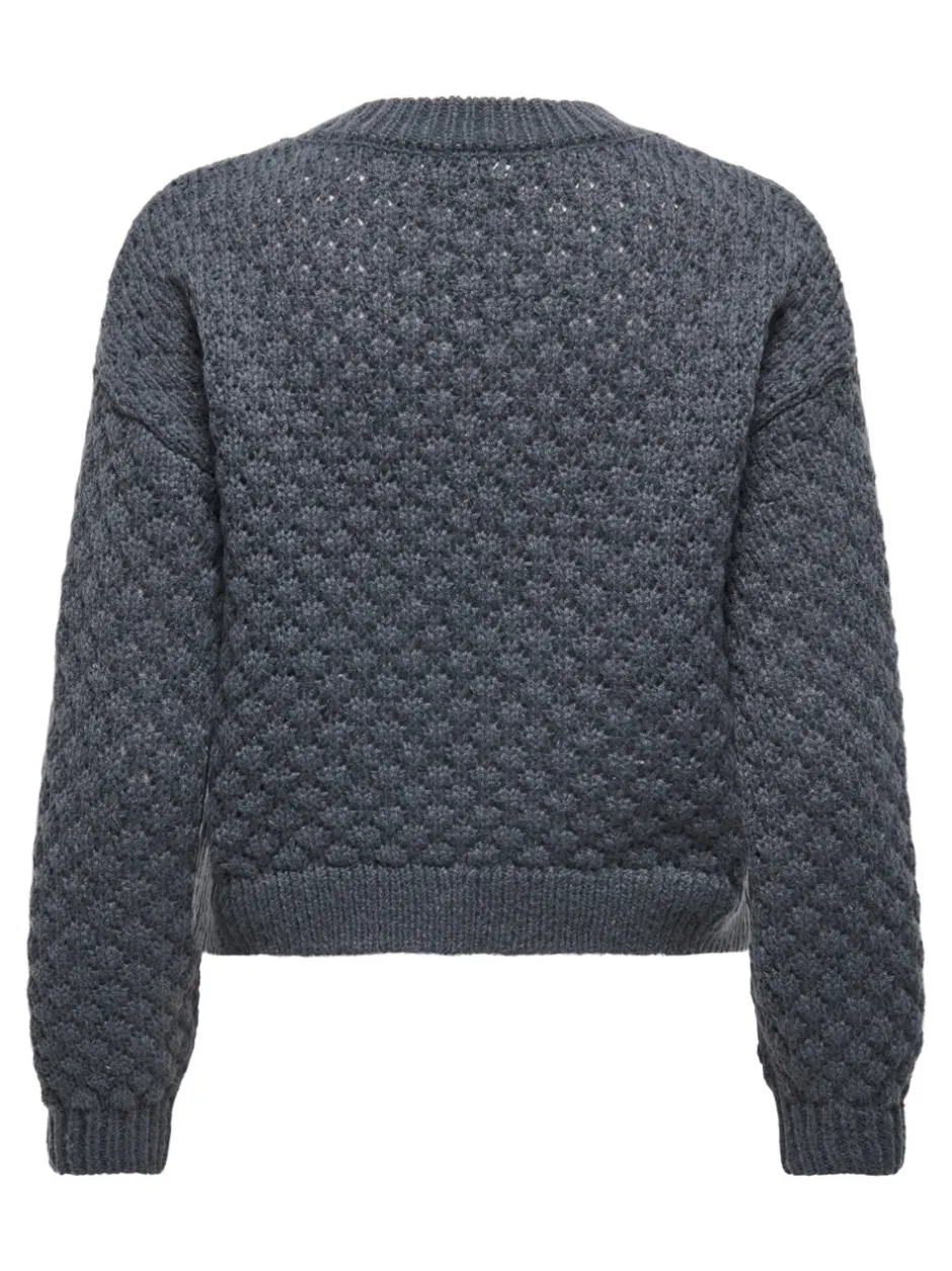 Online JDYCELESTE Striktrøje Dame Strik & Cardigans