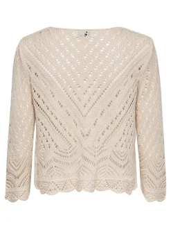 Online JDYNEW Striktrøje Dame Strik & Cardigans