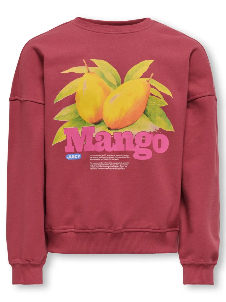 KOGPHILEA Sweatshirt Børn Tøj·Sweatshirts