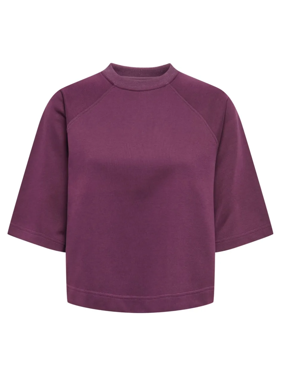 Hot ONLDASIE Sweatshirt Dame Sweatshirts