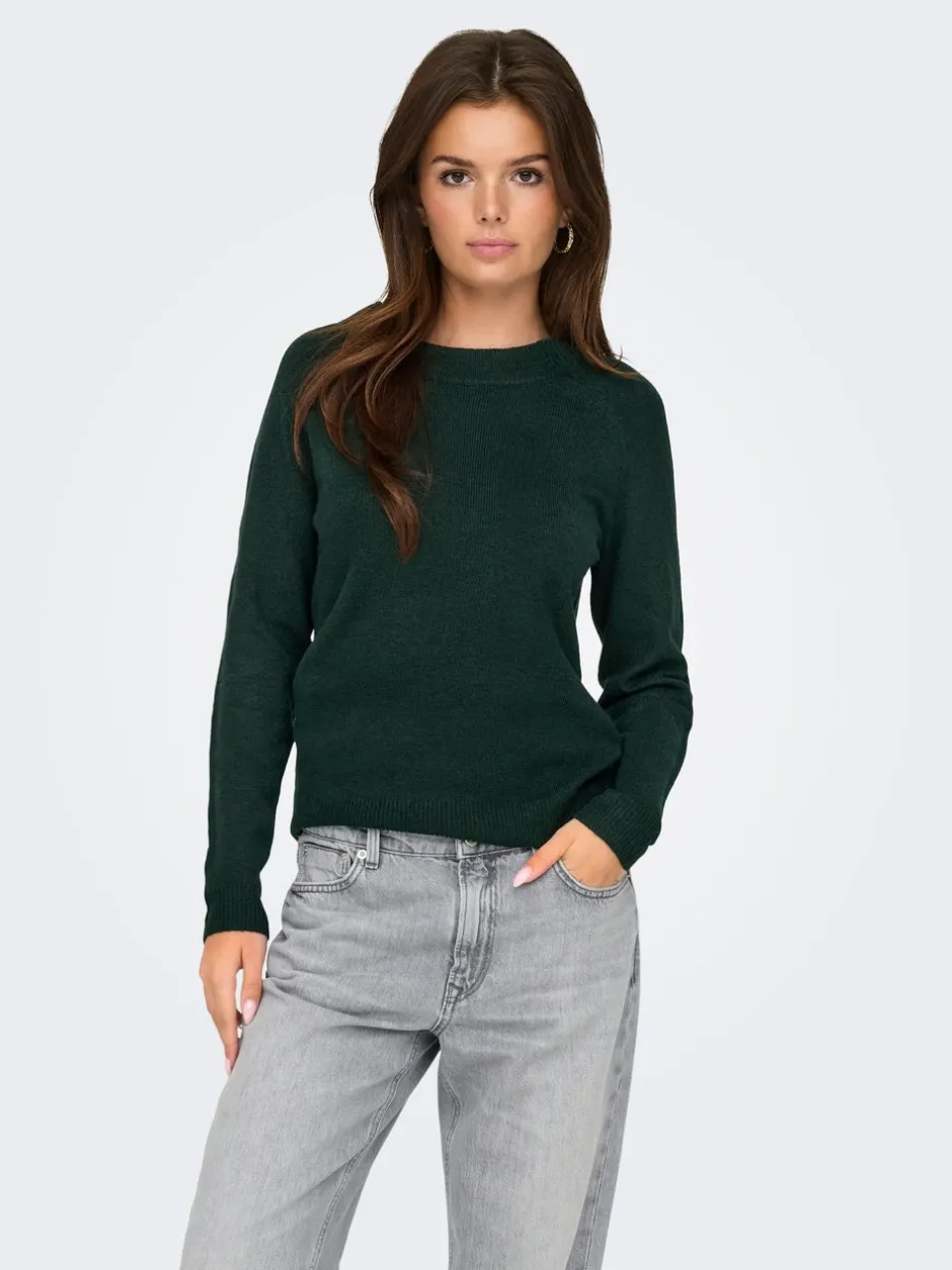 Best ONLRICA Striktrøje Dame Strik & Cardigans