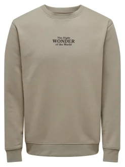 Online ONSCELEBRITY Sweatshirt Sweatshirts