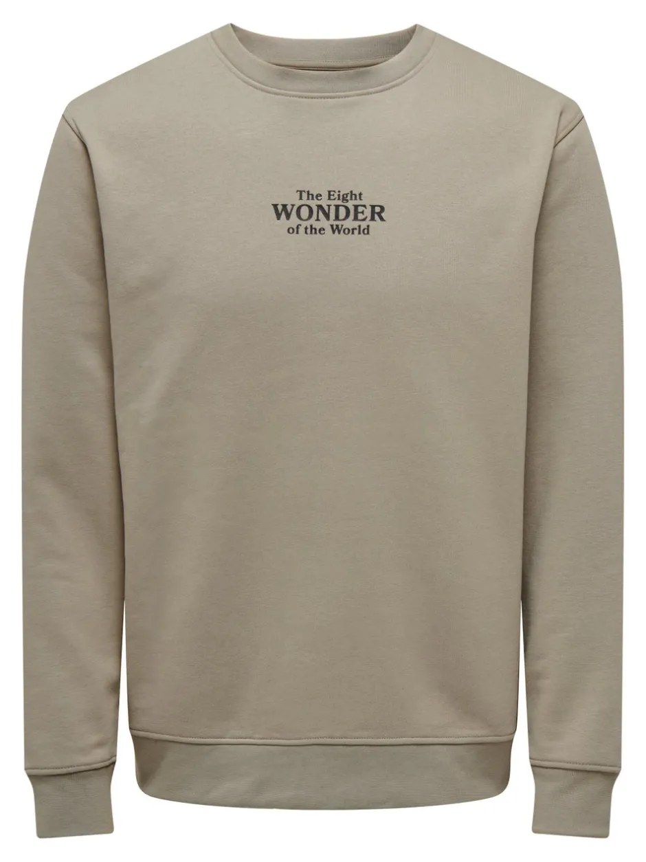 Online ONSCELEBRITY Sweatshirt Sweatshirts