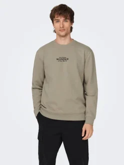 Online ONSCELEBRITY Sweatshirt Sweatshirts