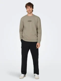 Online ONSCELEBRITY Sweatshirt Sweatshirts