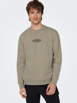 Online ONSCELEBRITY Sweatshirt Sweatshirts