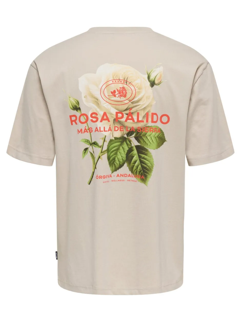 Online ONSFRANK T-shirt T-Shirts
